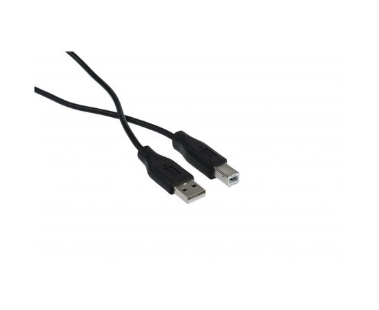 Кабель для принтера USB 2.0 AM/BM 3.0m 2E (2E-W-3169m3), изображение 2 Кабель для принтера USB 2.0 AM/BM 3.0m 2E (2E-W-3169m3), изображение 2