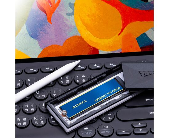 Накопитель SSD M.2 2280 2TB ADATA (SLEG-700G-2TCS-S48), изображение 10 Накопитель SSD M.2 2280 2TB ADATA (SLEG-700G-2TCS-S48), изображение 10