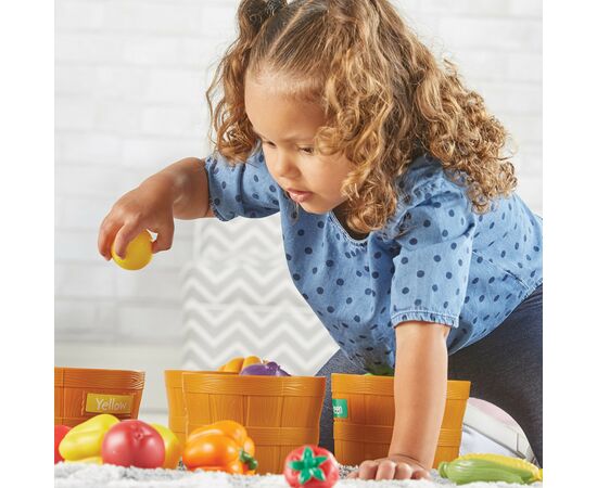Развивающая игрушка Learning Resources Учебный игровой набор-сортер – Фермерский рынок (LER3060), изображение 8 Развивающая игрушка Learning Resources Учебный игровой набор-сортер – Фермерский рынок (LER3060), изображение 8