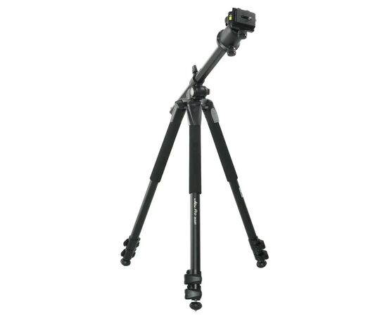 Штатив Vanguard Alta Pro 263AB 100 (DAS301277)