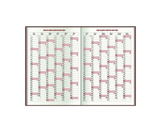 Еженедельник Economix датированный 2024 PRINCIPE зеленый, А5 (E21690-04), изображение 3 Еженедельник Economix датированный 2024 PRINCIPE зеленый, А5 (E21690-04), изображение 3