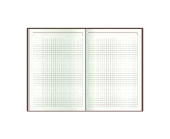 Еженедельник Economix датированный 2024 PRINCIPE зеленый, А5 (E21690-04), изображение 6 Еженедельник Economix датированный 2024 PRINCIPE зеленый, А5 (E21690-04), изображение 6