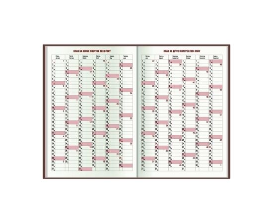 Еженедельник Economix датированный 2024 SAMBA белый, А5 (E21694-14), изображение 3