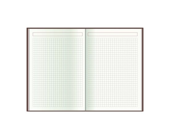 Еженедельник Economix датированный 2024 SAMBA белый, А5 (E21694-14), изображение 6