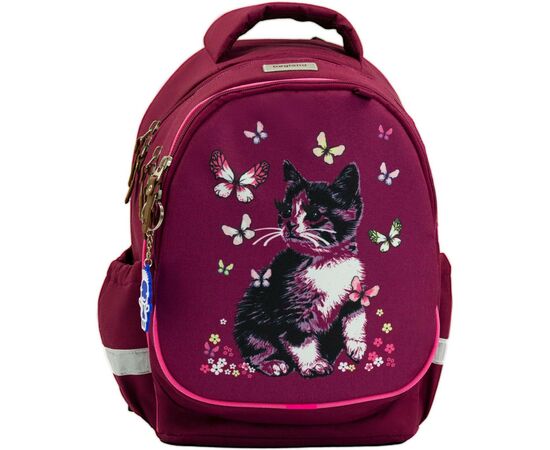 Рюкзак школьный Bagland Butterfly 21 л. вишня 1093 (0056566) (953917125)