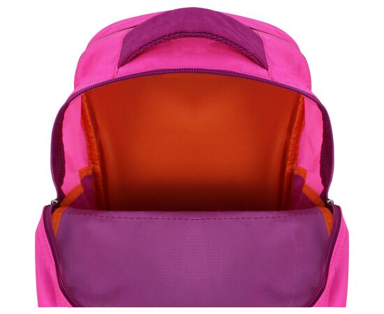 Рюкзак школьный Bagland Отличник 20 л. 143 малина 512 (0058070) (41826869), изображение 4 Рюкзак школьный Bagland Отличник 20 л. 143 малина 512 (0058070) (41826869), изображение 4