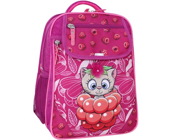 Рюкзак школьный Bagland Отличник 20 л. 143 малина 899 (0058070) (418214845)