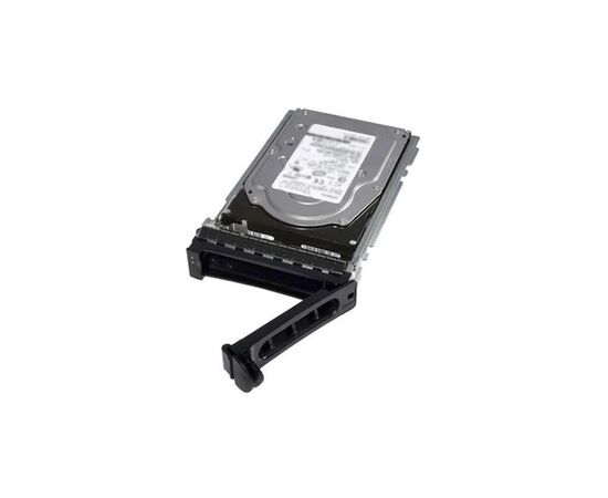 Жорсткий диск для сервера Dell 12TB 7.2K RPM NLSAS ISE 12Gbps 512e 3.5in Hot-plug Hard Drive (161-BCJX)