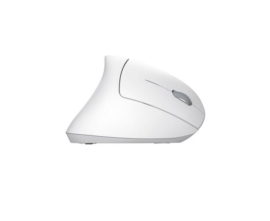 Мышка Trust Verto Ergonomic Wireless White (25132), изображение 3 Мышка Trust Verto Ergonomic Wireless White (25132), изображение 3