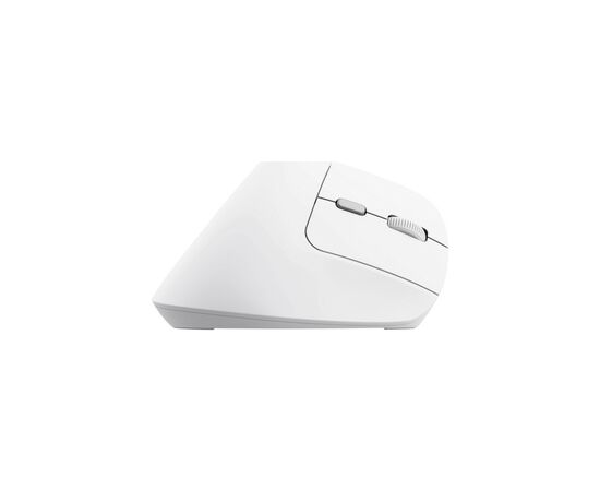 Мышка Trust Bayo 2 Ergonomic Wireless/USB-A White (25146), изображение 5 Мышка Trust Bayo 2 Ergonomic Wireless/USB-A White (25146), изображение 5