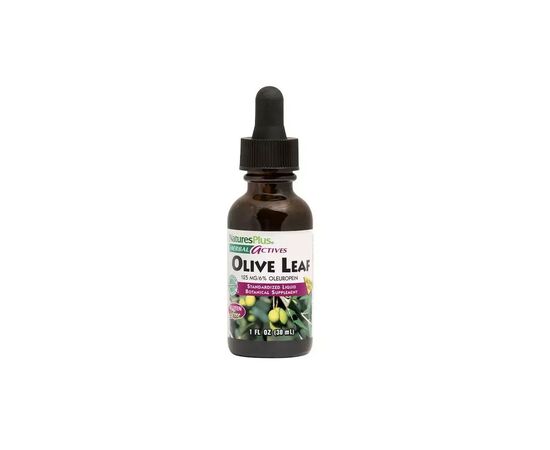 Трави Natures Plus Листя оливи, екстракт у краплях без спирту, Olive Leaf, 30 мл (NAP-07849)