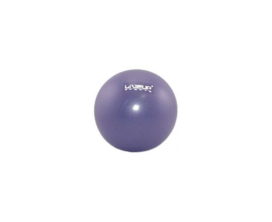 Мяч для фитнеса LiveUp Mini Ball LS3225-20p фіолетовий 20см (6951376103694)