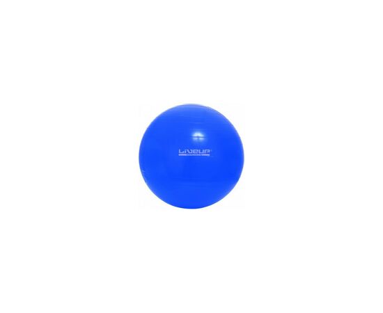 М'яч для фітнесу LiveUp Gym Ball LS3221-65b блакитний 65см (2016052700490)