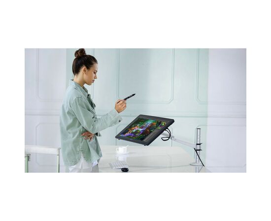 Планшет-монітор Huion Kamvas RDS-220 (RDS-220), зображення 6 Планшет-монітор Huion Kamvas RDS-220 (RDS-220), зображення 6