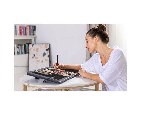 Планшет-монітор Huion Kamvas RDS-220 (RDS-220), зображення 8 Планшет-монітор Huion Kamvas RDS-220 (RDS-220), зображення 8