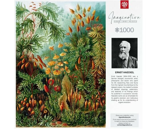 Пазл GoodLoot Imagination: Ernst Haeckel Muscinae 1000 элементов (5908305239642), изображение 4 Пазл GoodLoot Imagination: Ernst Haeckel Muscinae 1000 элементов (5908305239642), изображение 4
