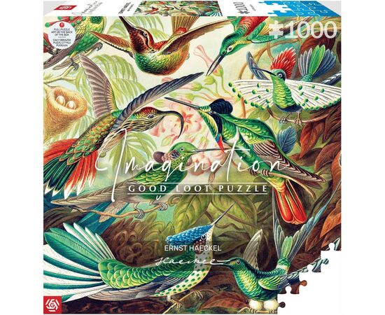 Пазл GoodLoot Imagination: Ernst Haeckel Hummingbirds/Kolibry 1000 элементов (5908305246794), изображение 4 Пазл GoodLoot Imagination: Ernst Haeckel Hummingbirds/Kolibry 1000 элементов (5908305246794), изображение 4
