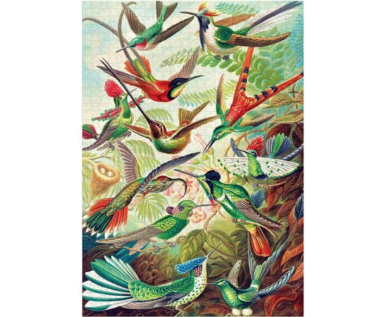 Пазл GoodLoot Imagination: Ernst Haeckel Hummingbirds/Kolibry 1000 элементов (5908305246794), изображение 9 Пазл GoodLoot Imagination: Ernst Haeckel Hummingbirds/Kolibry 1000 элементов (5908305246794), изображение 9