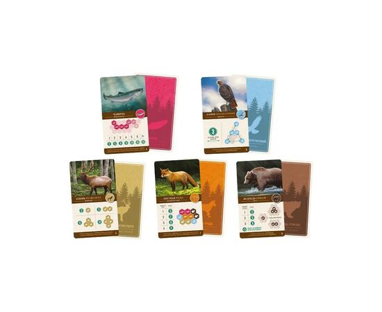 Настольная игра Lord of Boards Каскадия (Cascadia) (LOB2305UA), изображение 3 Настольная игра Lord of Boards Каскадия (Cascadia) (LOB2305UA), изображение 3