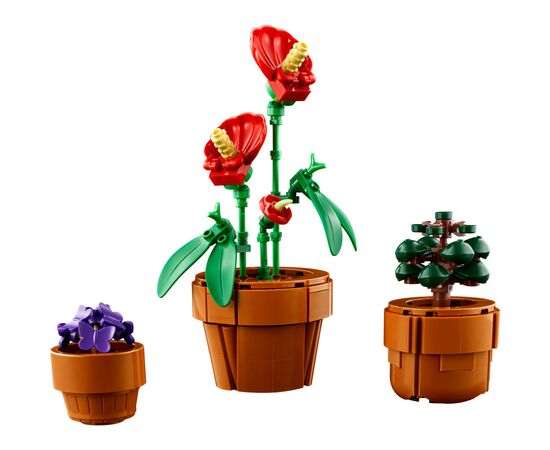 Конструктор LEGO Icons Миниатюрные растения 758 деталей (10329), изображение 4 Конструктор LEGO Icons Миниатюрные растения 758 деталей (10329), изображение 4