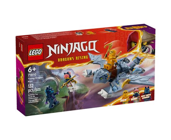 Конструктор LEGO Ninjago Молодий дракон Рію 132 деталі (71810)