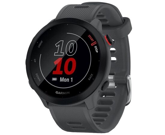 Смарт-часы Garmin Forerunner 55, Monterra Grey (010-02562-13)