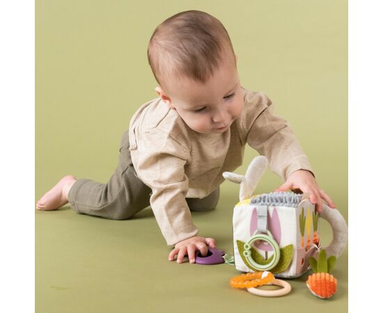 Развивающая игрушка Taf Toys кубик коллекции Садик в городе - Ежик и свекла (13095), изображение 6 Развивающая игрушка Taf Toys кубик коллекции Садик в городе - Ежик и свекла (13095), изображение 6