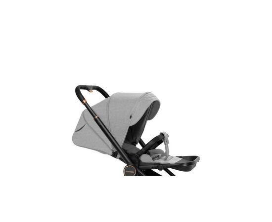 Коляска Carrello Epica CRL-8510/1 Silver Grey (CRL-8510/1 silver grey), изображение 4 Коляска Carrello Epica CRL-8510/1 Silver Grey (CRL-8510/1 silver grey), изображение 4