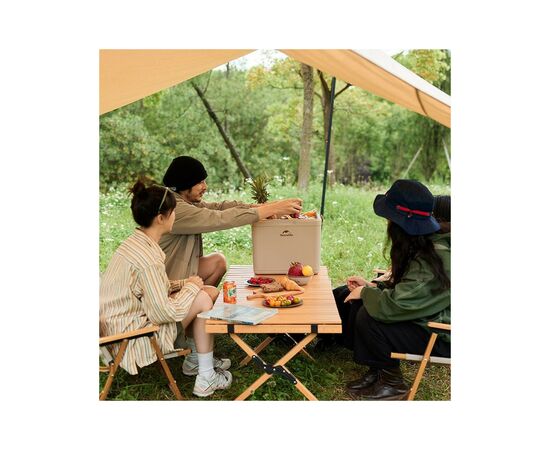 Термобокс Naturehike CNK2300BS011 9 л бежевий (6976023924026), изображение 5