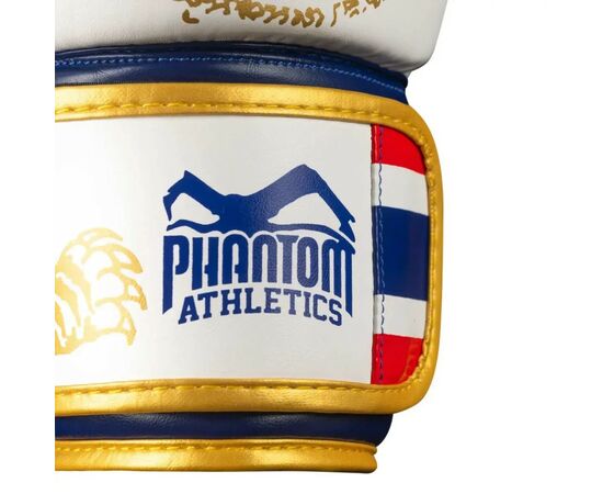 Боксерські рукавички Phantom Muay Thai Gold 16 унцій (PHBG2590-16), зображення 6 Боксерські рукавички Phantom Muay Thai Gold 16 унцій (PHBG2590-16), зображення 6