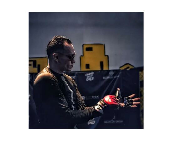 Перчатки для MMA RDX F12 Model GGRF Red L (GGR-F12R-L), изображение 8 Перчатки для MMA RDX F12 Model GGRF Red L (GGR-F12R-L), изображение 8