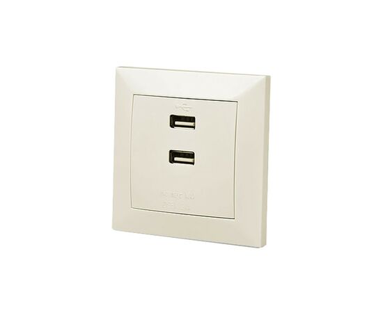 USB розетка REAL-EL Розетка USB (Comfort-60025-C)
