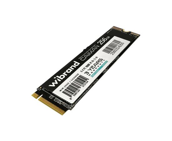 Накопитель SSD M.2 2280 256GB Caiman Wibrand (WIM.2SSD/CA256GB)