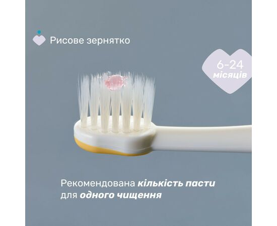 Детская зубная щетка Chicco для первых зубьев, 6-36 мес., 2 шт. (8058664174713) (12082.11), изображение 4 Детская зубная щетка Chicco для первых зубьев, 6-36 мес., 2 шт. (8058664174713) (12082.11), изображение 4