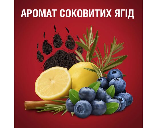 Дезодорант Old Spice Bearglove 50 мл (4015600862640/8700216884662), изображение 7 Дезодорант Old Spice Bearglove 50 мл (4015600862640/8700216884662), изображение 7