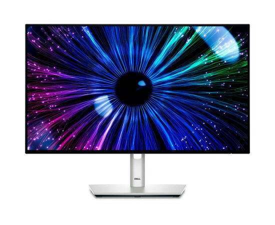 Монитор Dell P2425E (210-BMJF)