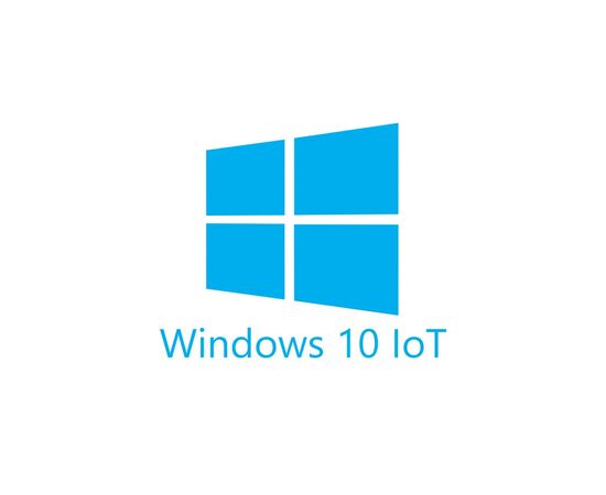 Операційна система Microsoft Win 10 IoT Ent 2021 LTSC MultiLang ESD OEI High End EPKEA (MUT-00075)