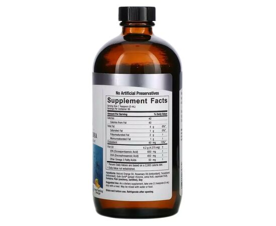 Витаминно-минеральный комплекс Nature's Answer Омега-3 жидкая, вкус апельсина, Liquid Omega-3, Deep Sea Fish Oil EPA/DHA, (NTA-26137), изображение 2 Витаминно-минеральный комплекс Nature's Answer Омега-3 жидкая, вкус апельсина, Liquid Omega-3, Deep Sea Fish Oil EPA/DHA, (NTA-26137), изображение 2