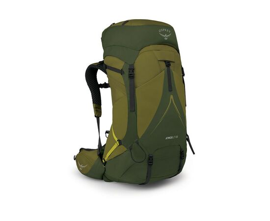 Рюкзак туристический Osprey Atmos AG LT 65 scenic valley/green peppercorn L/XL (009.3279)