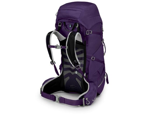 Рюкзак туристический Osprey Tempest 40 violac purple WM/L (009.2349), изображение 4 Рюкзак туристический Osprey Tempest 40 violac purple WM/L (009.2349), изображение 4