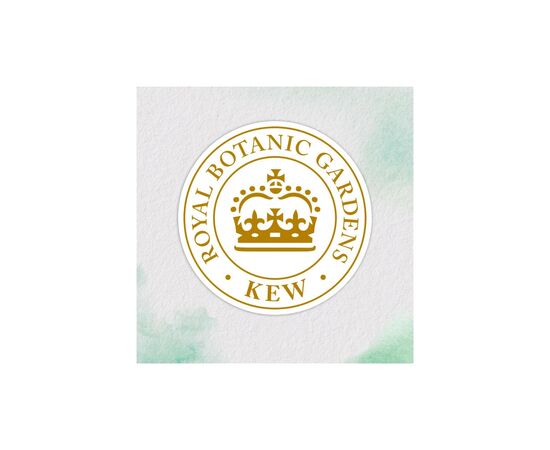 Кондиционер для волос Herbal Essences Апельсин Для объема волос 250 мл (8700216210317), изображение 3 Кондиционер для волос Herbal Essences Апельсин Для объема волос 250 мл (8700216210317), изображение 3
