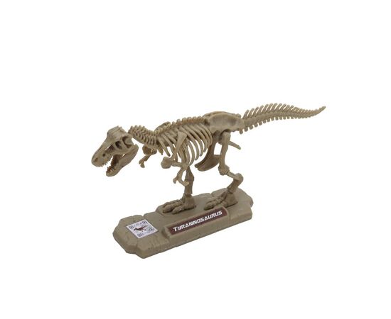 Конструктор Dino Valley "Дино" мини скелет динозавра (542040), изображение 17 Конструктор Dino Valley "Дино" мини скелет динозавра (542040), изображение 17