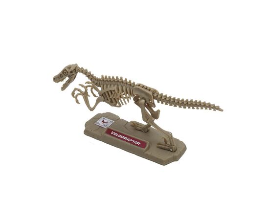 Конструктор Dino Valley "Дино" мини скелет динозавра (542040), изображение 3 Конструктор Dino Valley "Дино" мини скелет динозавра (542040), изображение 3