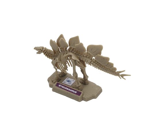 Конструктор Dino Valley "Дино" мини скелет динозавра (542040), изображение 9 Конструктор Dino Valley "Дино" мини скелет динозавра (542040), изображение 9