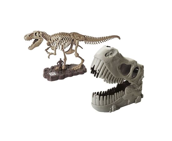 Конструктор Dino Valley "Дино" скелет Ти-Рекса (542409), изображение 3 Конструктор Dino Valley "Дино" скелет Ти-Рекса (542409), изображение 3
