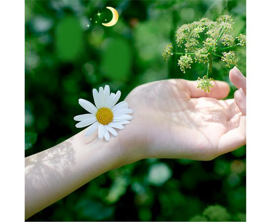 Гігієнічні прокладки Naturella Ultra Night (Розмір 4) 7 шт. (4015400435846), зображення 8 Гігієнічні прокладки Naturella Ultra Night (Розмір 4) 7 шт. (4015400435846), зображення 8