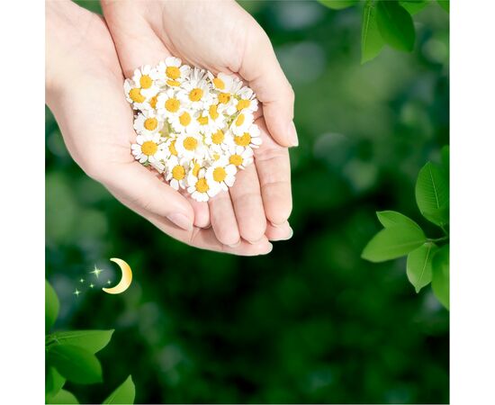 Гігієнічні прокладки Naturella Ultra Night (Розмір 4) 7 шт. (4015400435846), зображення 9 Гігієнічні прокладки Naturella Ultra Night (Розмір 4) 7 шт. (4015400435846), зображення 9