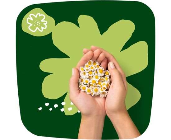 Гігієнічні прокладки Naturella Ultra Night (Розмір 4) 14 шт. (8001090585394), зображення 8 Гігієнічні прокладки Naturella Ultra Night (Розмір 4) 14 шт. (8001090585394), зображення 8