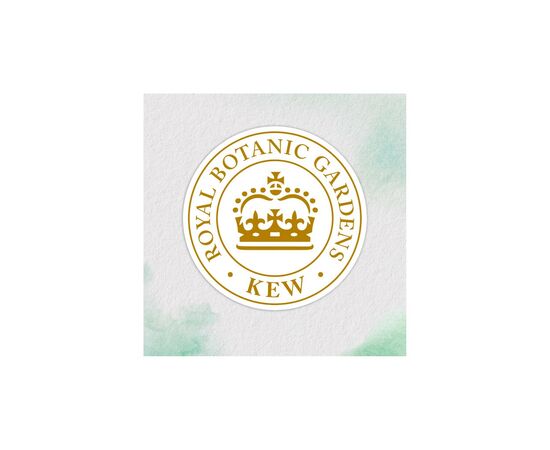 Шампунь Herbal Essences Апельсин Для объема волос 350 мл (8700216210713), изображение 3 Шампунь Herbal Essences Апельсин Для объема волос 350 мл (8700216210713), изображение 3