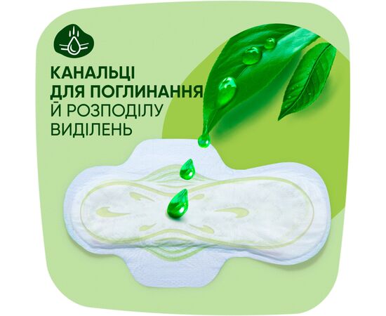 Гигиенические прокладки Naturella Classic Normal (Размер 2) 40 шт. (8006540970102), изображение 7 Гигиенические прокладки Naturella Classic Normal (Размер 2) 40 шт. (8006540970102), изображение 7